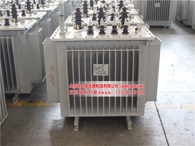 萨嘎油浸式电力变压器库存