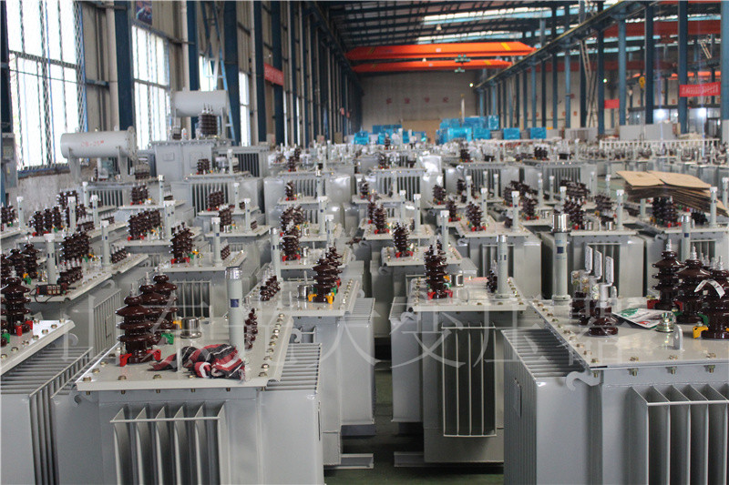 萨嘎S22-800KVA/10KV油浸式变压器